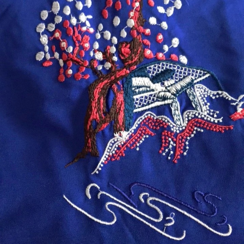 Женское вьетнамское традиционн – обзор и цена Ao Dai Vietnam Dress